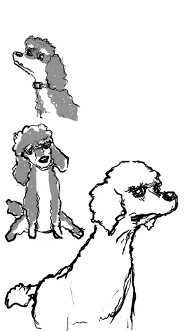 Geo and Toffee